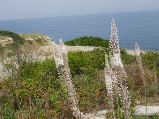 Tonnara di Brucoli